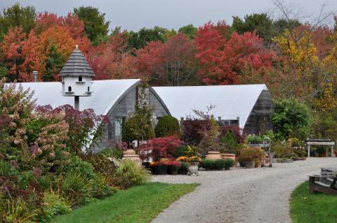 looking down road to greenhouses